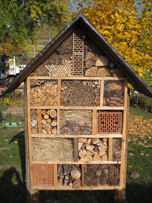 Insektenhotel selber bauen – mehr als Umweltschutz