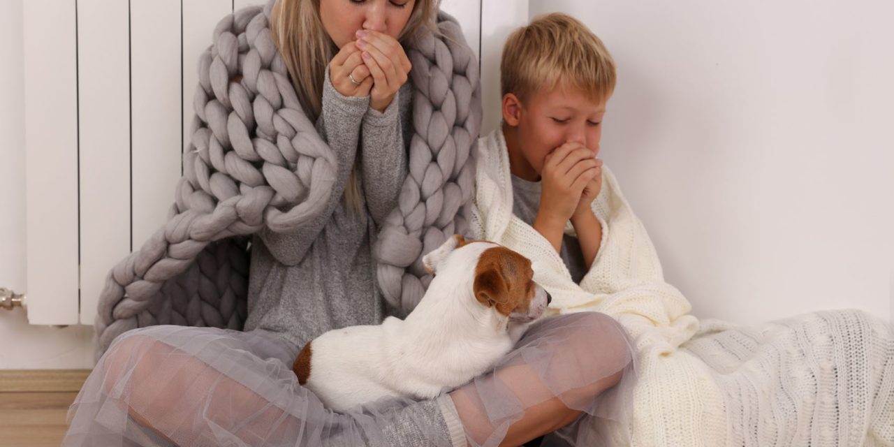 Heizkörper wird nicht warm – Lösungen und Tipps