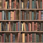 Bücherregal selber bauen