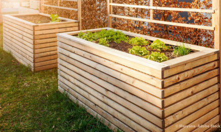 Hochbeet selber bauen: Ein nachhaltiges Gartenprojekt