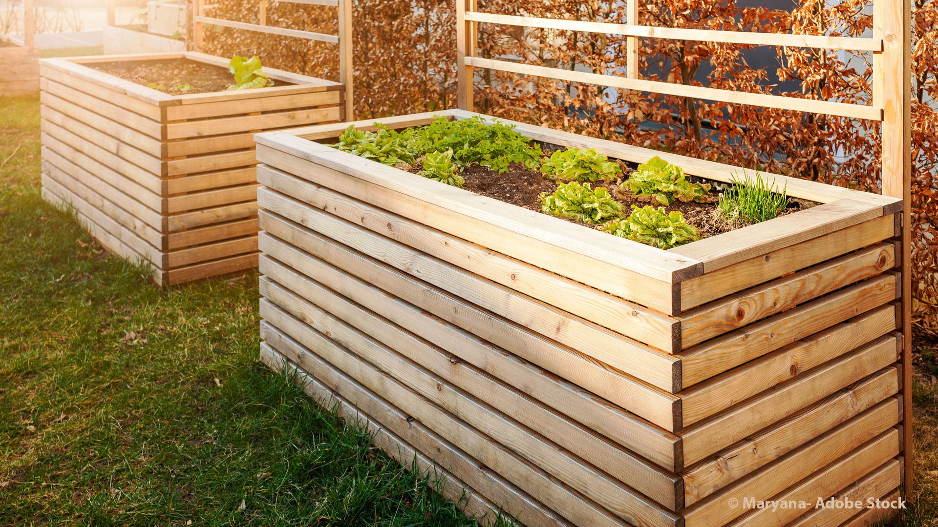 Hochbeet selber bauen