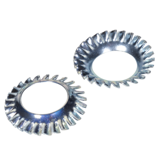 DIN 6798 Fächerscheiben Federstahl verzinkt Form V 5,3 250 Stück