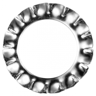 DIN 6798 Fächerscheiben Edelstahl A4 Form A 17 50 Stück