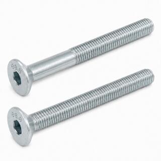 ISO 10642 Senkschrauben Innensechskant Stahl 8.8 DiSP verzinkt