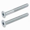 ISO 10642 Senkschrauben Innensechskant Stahl 8.8 DiSP...