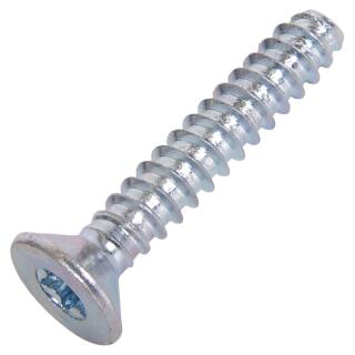 ISO 14586 Senk-Blechschrauben TX Stahl verzinkt Zapfen Form F 4,2x60 500 Stück