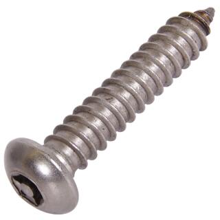 Flachrundkopf-Sicherheitsschrauben TX + Pin Edelstahl A2 C 4,2x16 TX-PIN 15 100 Stück