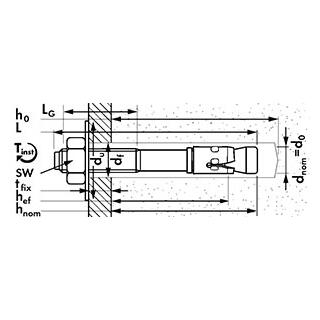 Bolzenanker Edelstahl A4 m2r-C Mungo