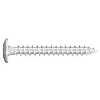 Beschlagschrauben KBS Reisser Halbrundkopf TX Vollgewinde Ruspert silber 6x30 100 Stück