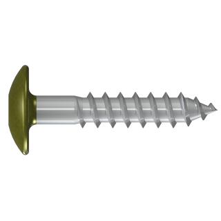 Fassadenschrauben farbig Edelstahl A4 Reisser