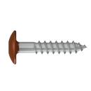 Fassadenschrauben farbig Edelstahl A4 Reisser