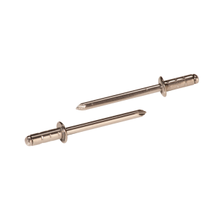 PolyGrip Blindnieten Gesipa A2-Edelstahl 3,2x9,5 1000 Stück