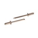 Blindnieten Mini-Pack Gesipa PolyGrip A2-Edelstahl 3,2x8...