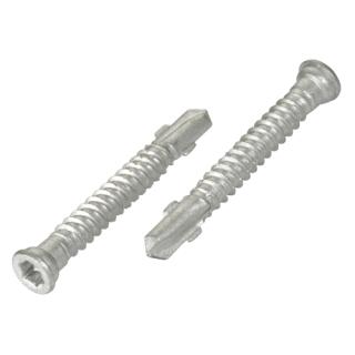 Terrassenschrauben CABRI Reisser Stufenkopf TX25 VG Bimetall A4 Ruspert silber 5,5 x 55 200 Stck