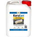 Koralan Holzreiniger 2,5 l PE Kanister