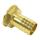 Schlauchanschluss mit Innengewinde Messing 3/4 Zoll für Schlauch 19mm 1 Stück