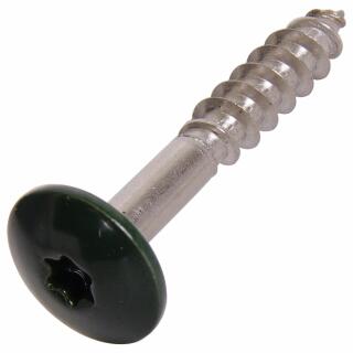 Flachrundkopf-Holzschrauben Trespo Edelstahl A2 4,8x25 TX20 RAL 6009 Tannengrn 100 Stck