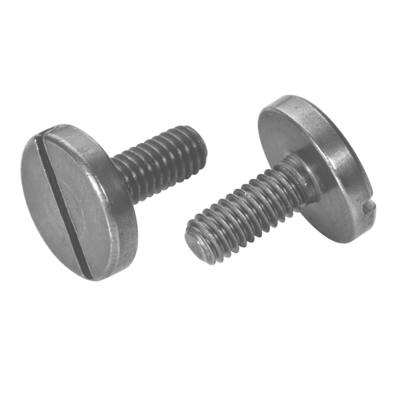 Reidl Flachkopfschrauben DIN 921 6x20mm Verzinkt - 100 Stück Set Mit Schlitzantrieb