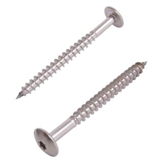 Flachrundkopf-Holzschrauben Trespo Edelstahl A4 5,5x32 TX20 RAL 1013 Perlwei 100 Stck