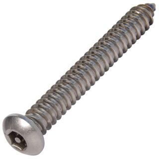 Flachrundkopf-Sicherheitsschrauben ISK + Pin Edelstahl A2 C 5,5x25 ISK-PIN 4 100 Stück