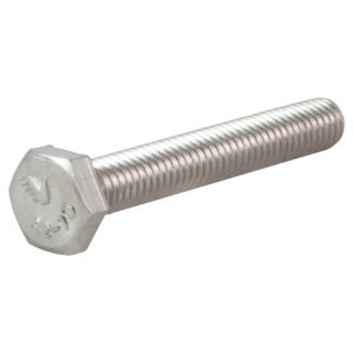 DIN 933 Sechskantschrauben Vollgewinde Edelstahl A2 M 6x55 10 Stck