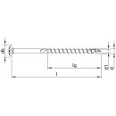 HECO-TOPIX-plus 6x140 Tellerkopf T-Drive T-25 Teilgewinde verzinkt 100 Stück