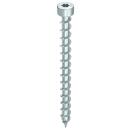HECO-TOPIX-plus 6x120 Zylinderkopf T-Drive Vollgewinde...