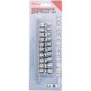 Gelenk-Steckschlüssel-Satz, Antrieb Innenvierkant 6,3 mm (1/4 Zoll), SW 5 - 13 mm, 10-tlg.