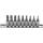 Bit-Einsatz-Satz, Antrieb Innenvierkant 6,3 mm (1/4 Zoll), T-Profil (für Torx) mit Bohrung T10 - T50, 9-tlg.