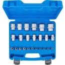 Steckschlüssel-Einsatz-Satz Sechskant, Antriebe Innenvierkant 6,3 mm (1/4 Zoll), 12,5 mm (1/2 Zoll), Zollmaße, 24-tlg.