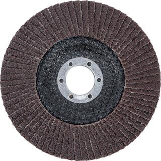 Fächer-Schleif-Scheibe, Ø 125 mm, K 80