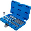 Bit- und Steckschlüssel-Satz, E-Profil / T-Profil (für Torx), 30-tlg.