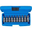 Kraft-Bit-Einsatz-Satz, Antrieb Innenvierkant 12,5 mm (1/2 Zoll), T-Profil (für Torx) T20 - T70, 10-tlg.