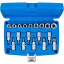 Bit-Einsatz-/Steckschlüssel-Einsatz-Satz, Antrieb Innenvierkant 12,5 mm (1/2 Zoll), E-Profil / T-Profil (für Torx), 19-tlg.
