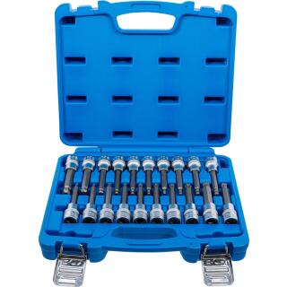 Bit-Einsatz-Satz, Antrieb Innenvierkant 12,5 mm (1/2 Zoll), Innensechskant, T-Profil (für Torx), Innenvielzahn (für XZN) mit Kugelkopf, 20-tlg.