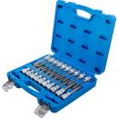 Bit-Einsatz-Satz, Antrieb Innenvierkant 12,5 mm (1/2 Zoll), Innensechskant, T-Profil (für Torx), Innenvielzahn (für XZN) mit Kugelkopf, 20-tlg.
