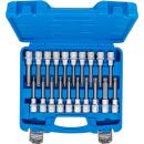 Bit-Einsatz-Satz, Antrieb Innenvierkant 12,5 mm (1/2 Zoll), Innensechskant, T-Profil (für Torx), Innenvielzahn (für XZN) mit Kugelkopf, 20-tlg.