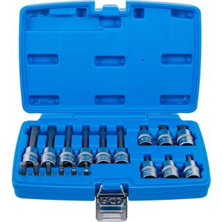 Bit-Einsatz-Satz, Antrieb Innenvierkant 6,3 mm (1/4 Zoll) / 12,5 mm (1/2 Zoll), Innensechskant, 18-tlg.