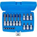 Bit-Einsatz-Satz, Antrieb Innenvierkant 6,3 mm (1/4 Zoll) / 12,5 mm (1/2 Zoll), Innensechskant, 18-tlg.