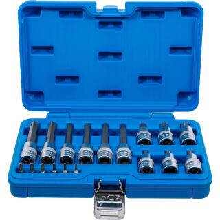 Bit-Einsatz-Satz, Antrieb Innenvierkant 6,3 mm (1/4 Zoll) / 12,5 mm (1/2 Zoll), T-Profil (für Torx), 18-tlg.
