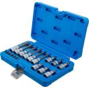 Bit-Einsatz-Satz, Antrieb Innenvierkant 6,3 mm (1/4 Zoll) / 12,5 mm (1/2 Zoll), T-Profil (für Torx), 18-tlg.
