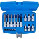 Bit-Einsatz-Satz, Antrieb Innenvierkant 6,3 mm (1/4 Zoll) / 12,5 mm (1/2 Zoll), T-Profil (für Torx) mit Bohrung, 18-tlg.