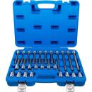 Bit-Einsatz-Satz, Antrieb Innenvierkant 12,5 mm (1/2...