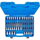 Bit-Einsatz-Satz, Antrieb Innenvierkant 12,5 mm (1/2 Zoll), Innensechskant, 30-tlg.