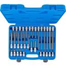 Bit-Einsatz-Satz, Antrieb Innenvierkant 12,5 mm (1/2 Zoll), T-Profil (für Torx), 32-tlg.