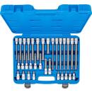 Bit-Einsatz-Satz, Antrieb Innenvierkant 12,5 mm (1/2 Zoll), Keil-Profil (für RIBE), 32-tlg.