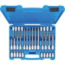 Bit-Einsatz-Satz, Antrieb Innenvierkant 12,5 mm (1/2 Zoll), TP-Profil (für Torx Plus) TP20 - TP70, 32-tlg.