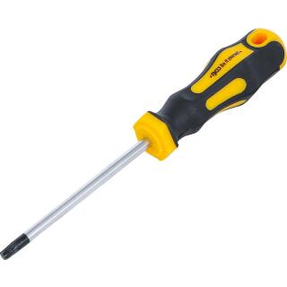Schraubendreher, T-Profil (für Torx) T30, Klingenlänge 100 mm