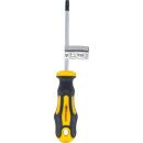 Schraubendreher, T-Profil (für Torx) T30, Klingenlänge 100 mm