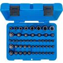 Bit-Einsatz- und Steckschlüssel-Einsatz-Satz, E-Profil / T-Profil (für Torx) / T-Profil (für Torx) mit Bohrung / TP-Profil (für Torx Plus), 52-tlg.